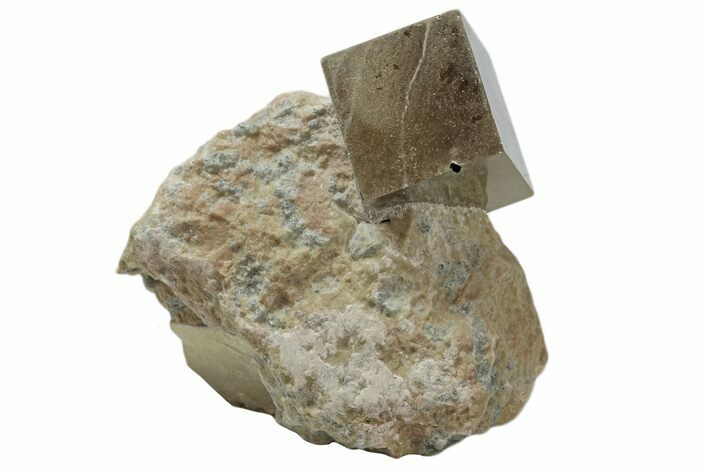 Natural Pyrite Cube In Rock - Navajun, Spain #168444